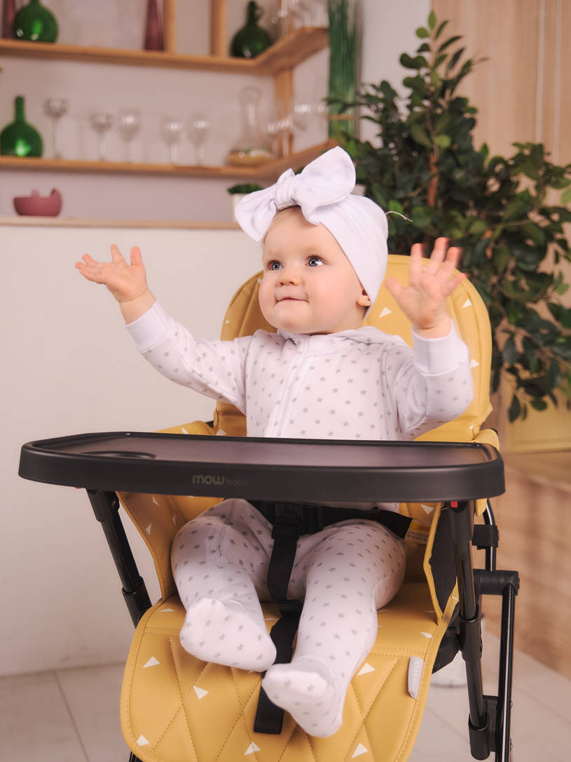 Стульчик для кормления Mowbaby Bravo Desert Beige