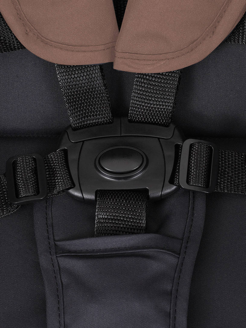 Коляска прогулочная Rant Basic Alpine 2025 Brown