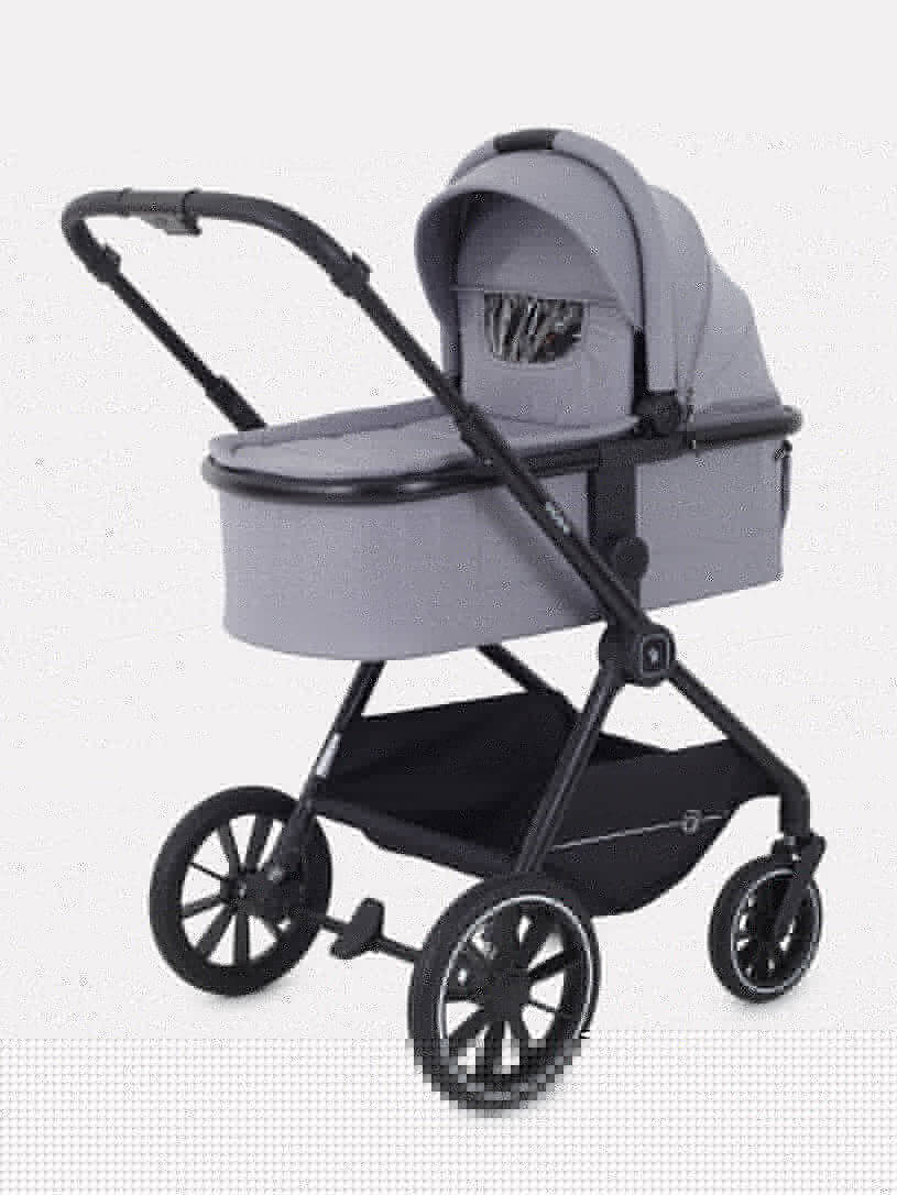 Коляска 2 в 1 Rant Moss Sage green