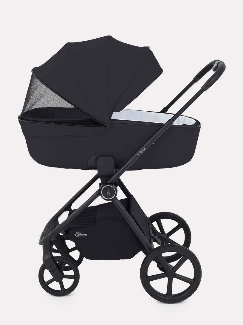 Коляска 2 в 1 Rant Teo Black