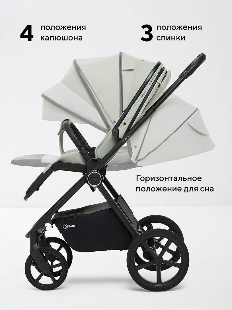 Коляска 2 в 1 Rant Teo Soft Sage