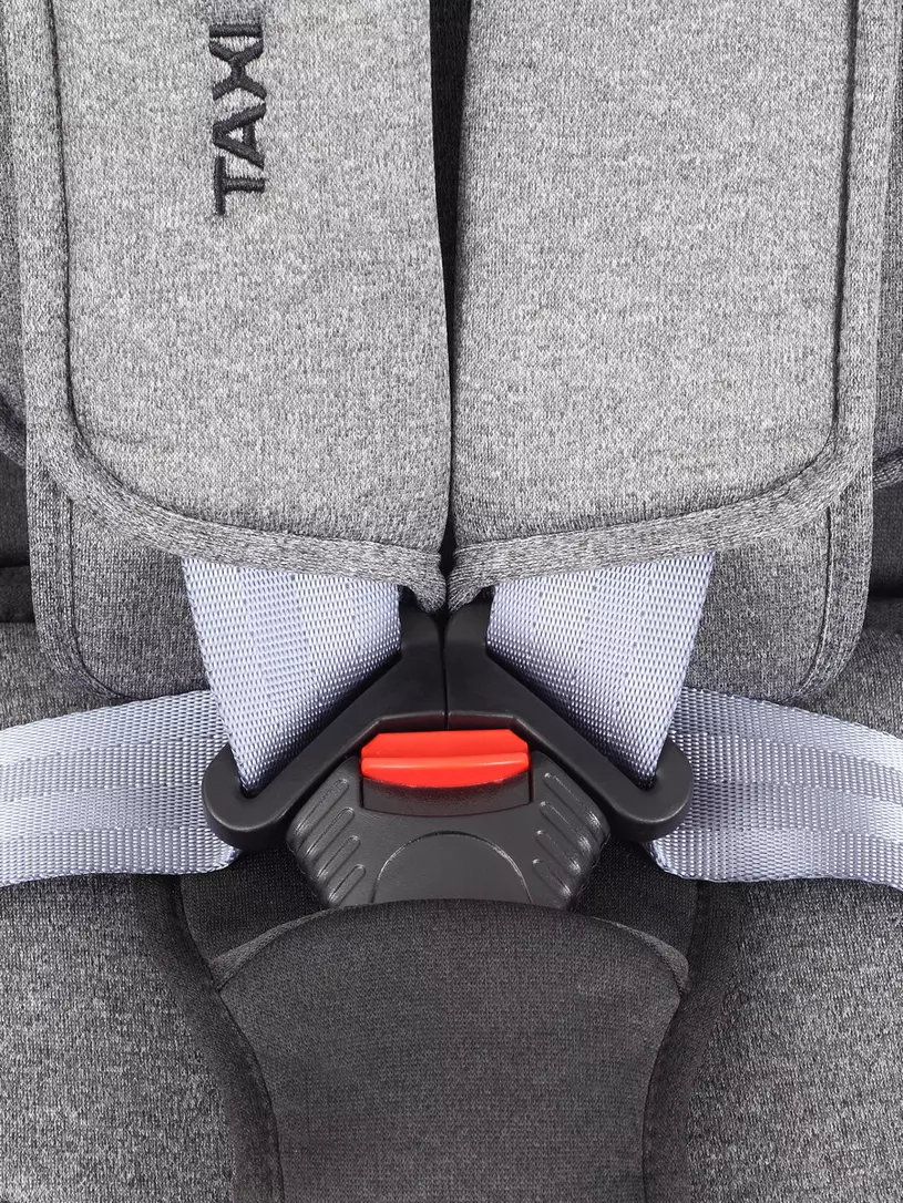 Автокресло Rant Taxi isofix 1/2/3 (9-36 кг) Grey