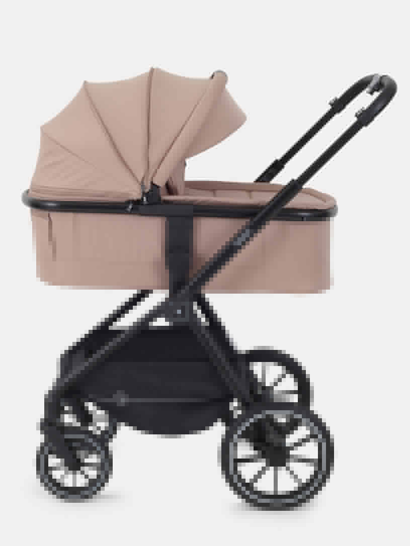 Коляска 2 в 1 Rant Moss Midnight black