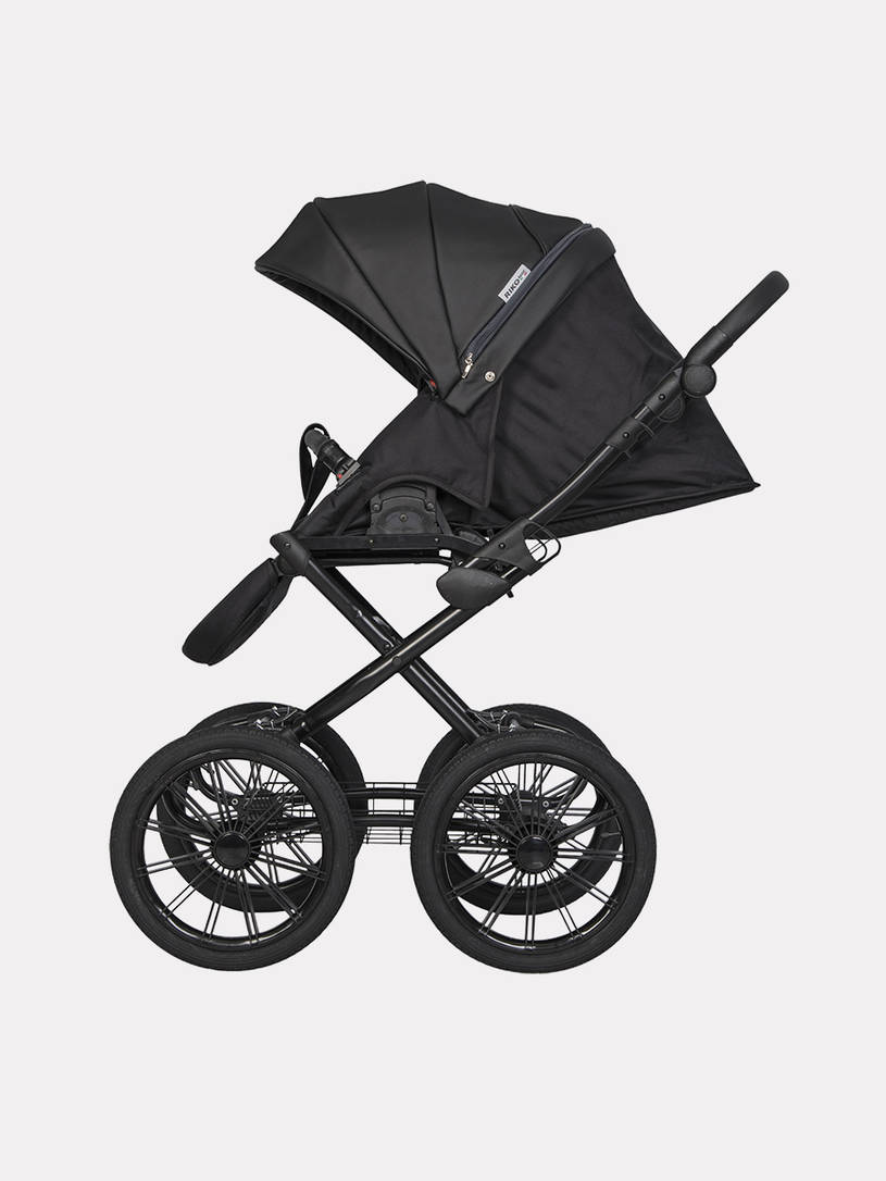 Коляска 2 в 1 Riko Basic Aicon Ecco Prestige 01 черный