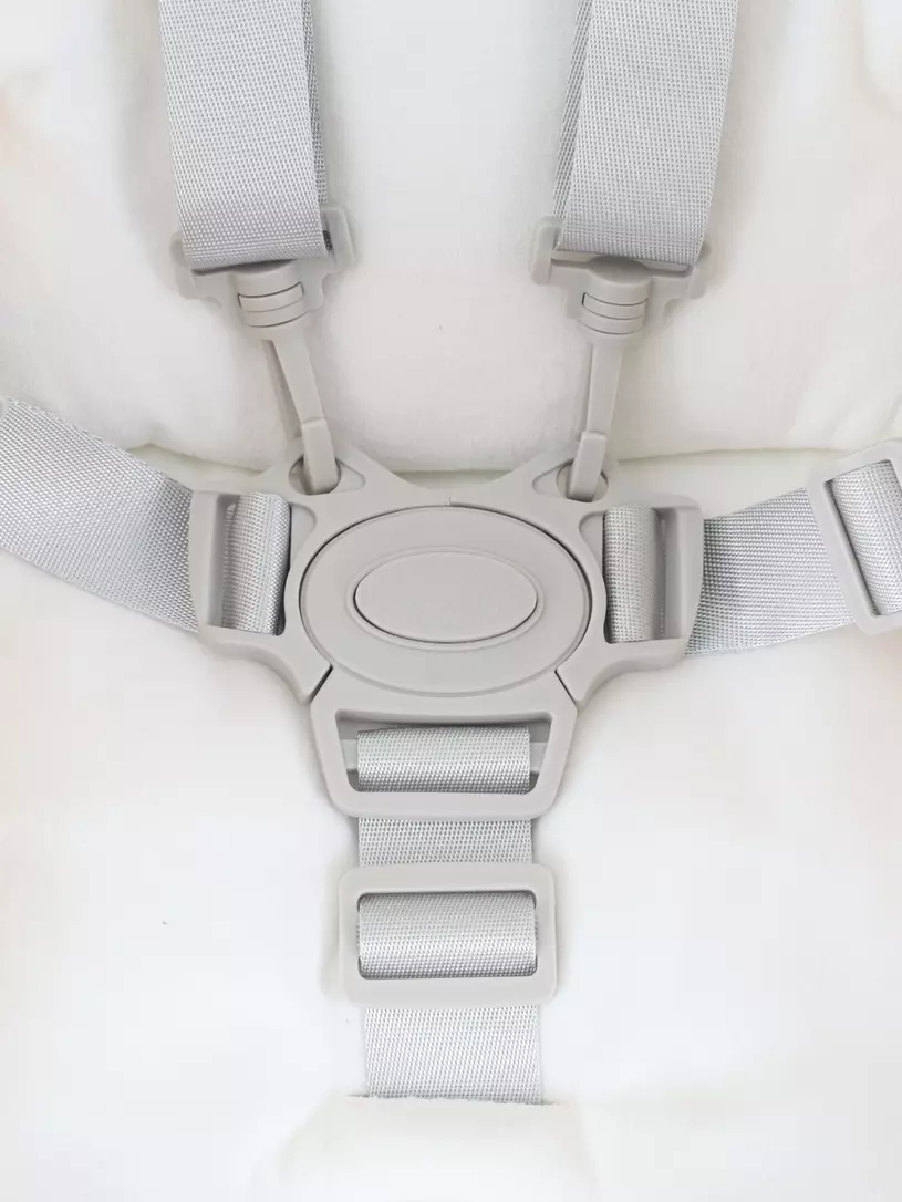 Стульчик для кормления Rant Onyx Cloud Pink