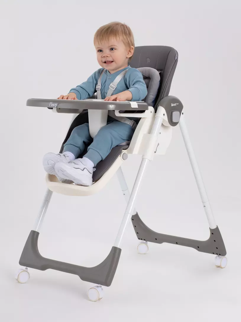 Стульчик для кормления Rant Basic Mango Grey
