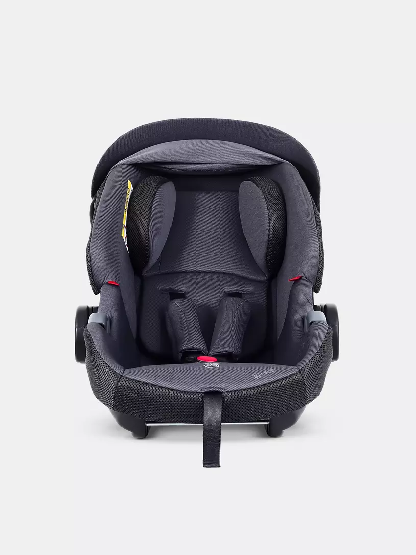 Автокресло Rant Carry Pro (40-87 см) Graphite