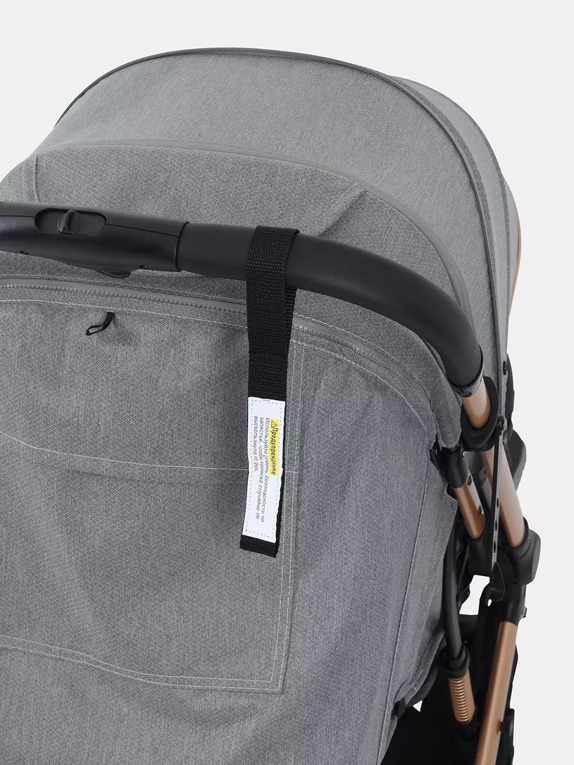 Коляска прогулочная Rant Basic Vortex Titan