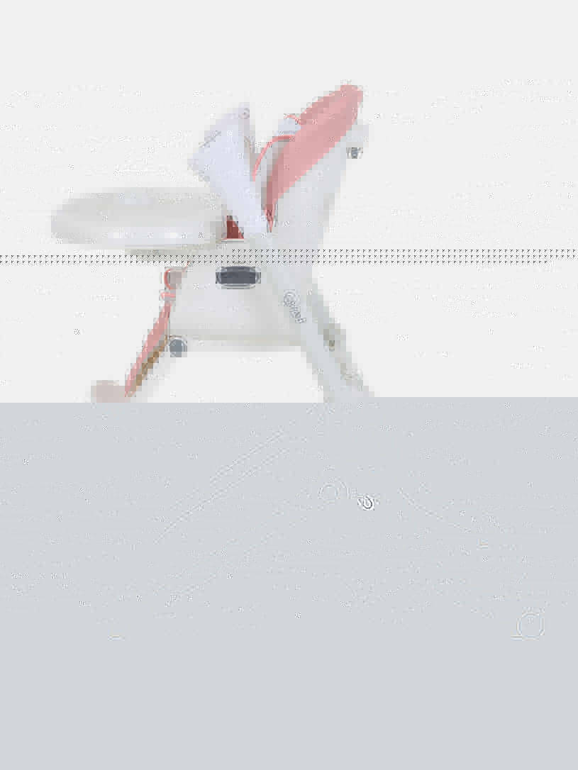 Стульчик для кормления Rant Melody cloud pink