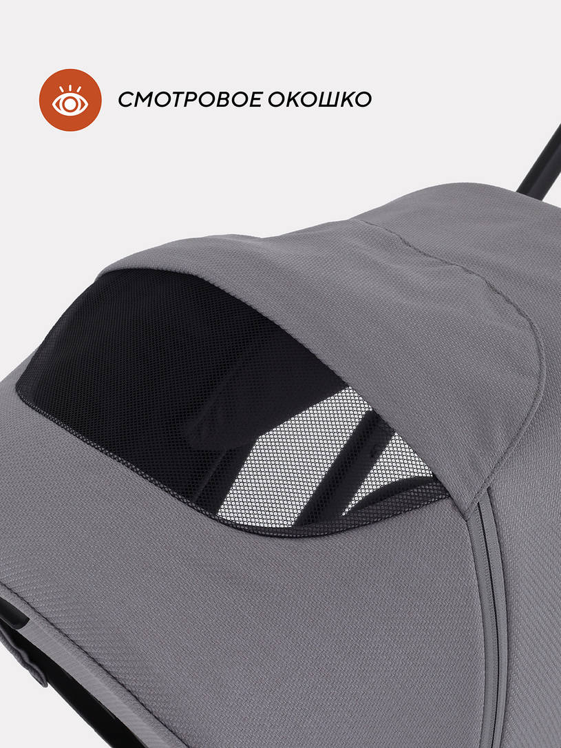 Коляска 2 в 1 Rant Basic Nexus Cloudburst