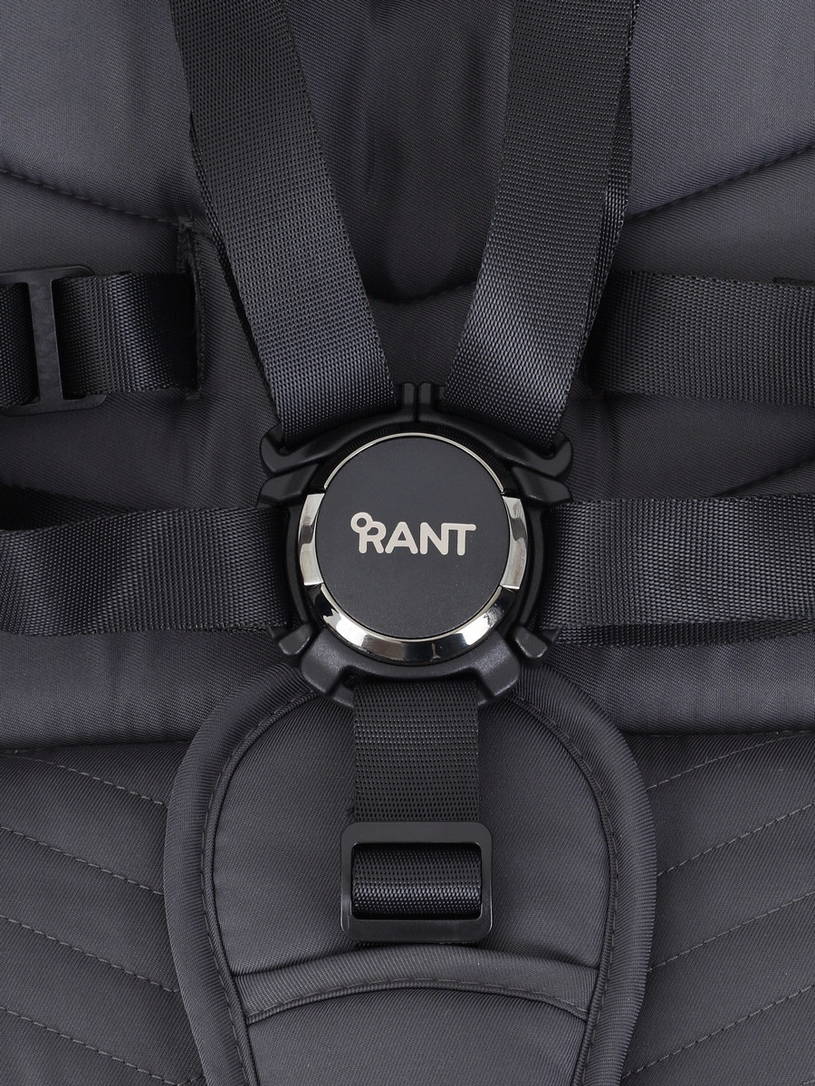 Коляска прогулочная Rant Flex Pro 2023 RA099 Blue