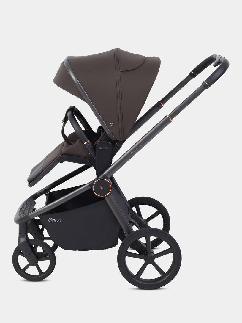 Коляска прогулочная Rant Flex Color Shine brown