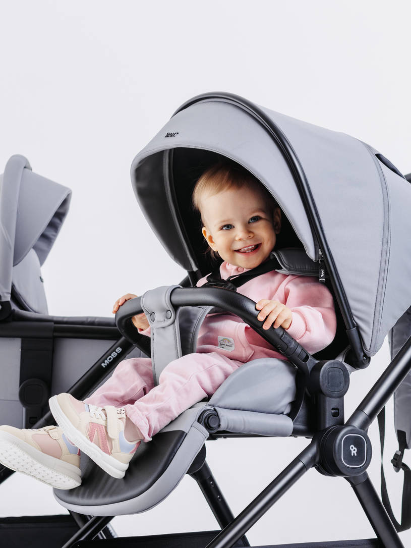 Коляска 2 в 1 Rant Moss Sage green