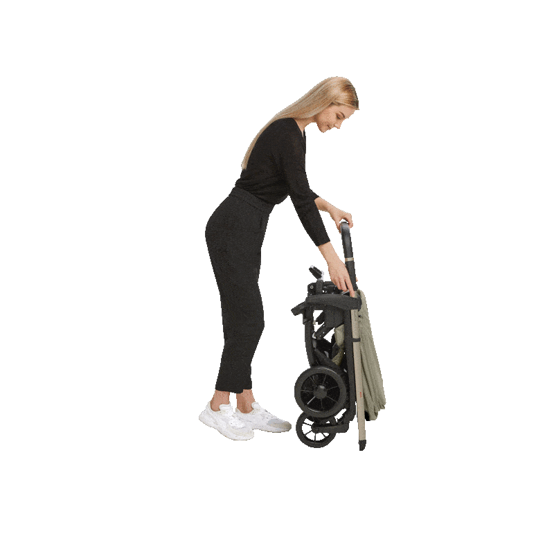 Прогулочная коляска Inglesina Electa , Dumbo Caramel