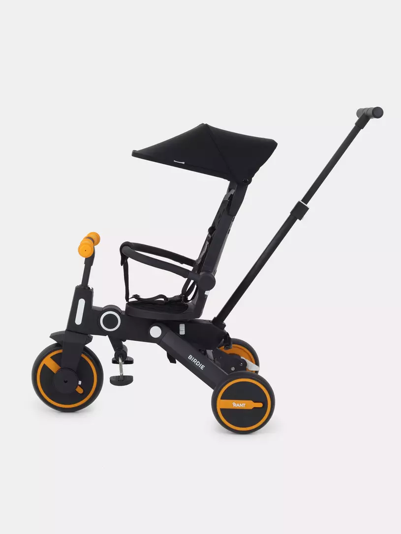 Велосипед 3-х колесный Rant Birdie Graphite