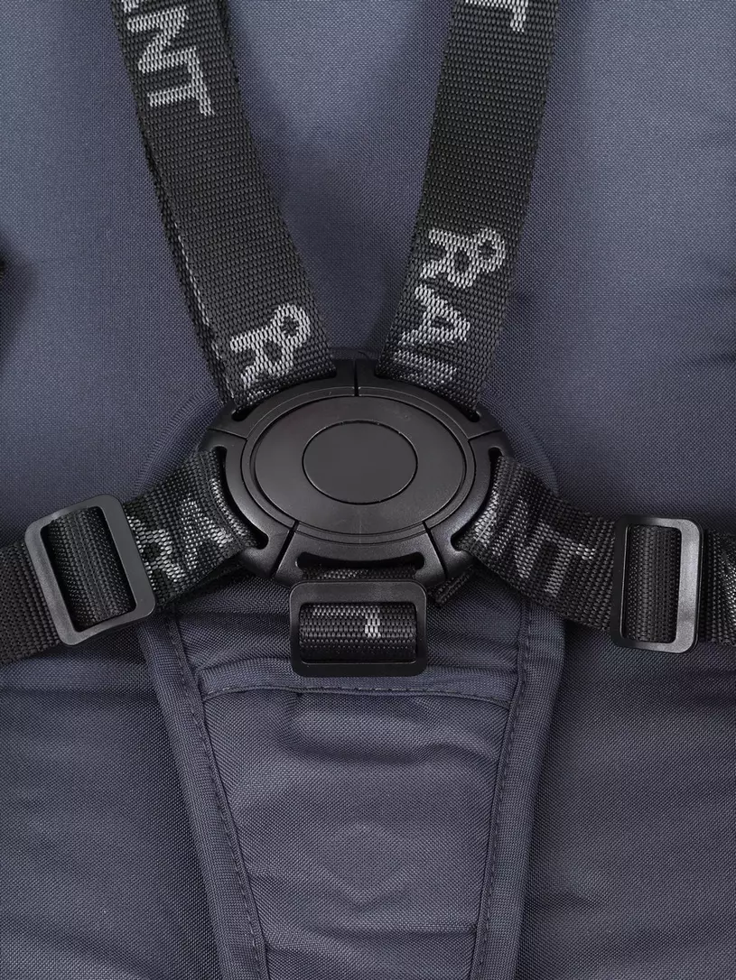 Коляска 2 в 1 Rant Basic Energy Graphite