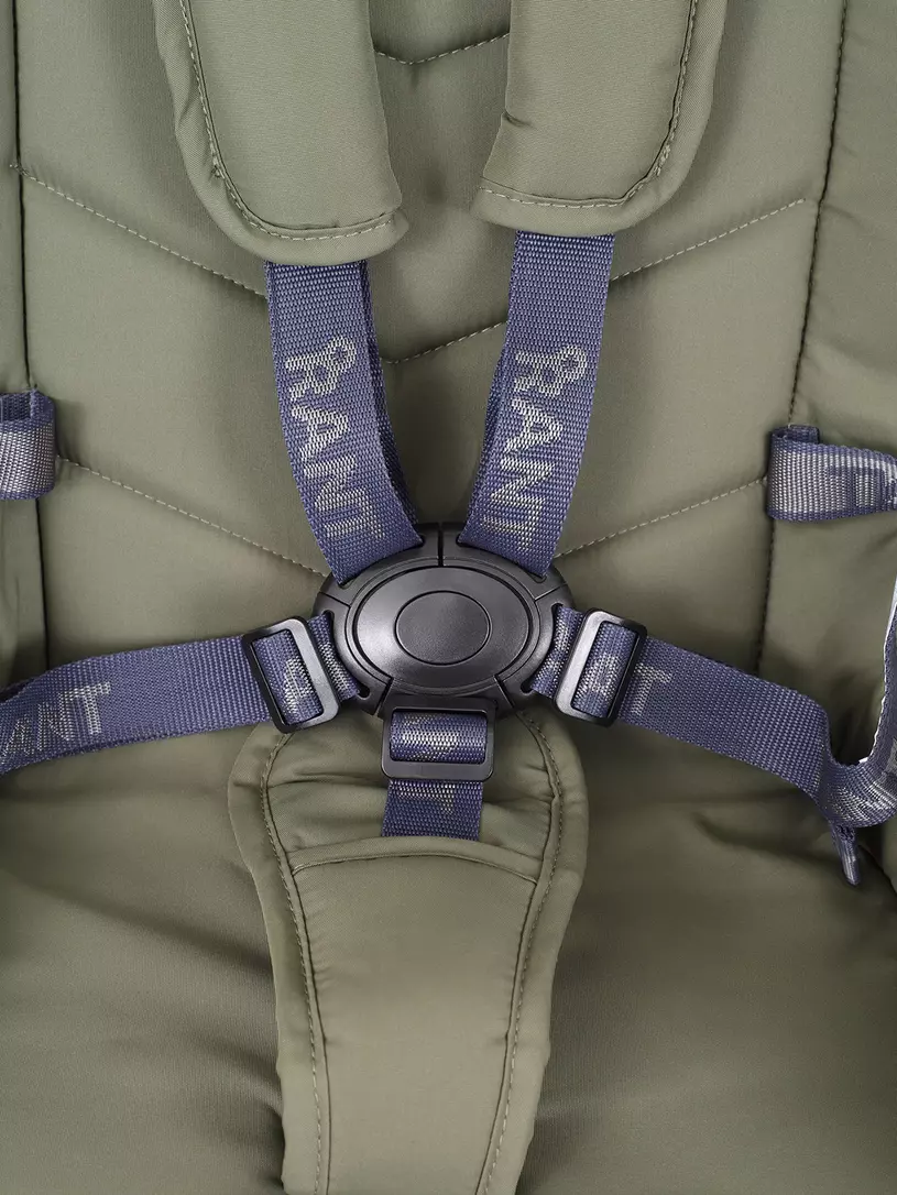 Коляска 2 в 1 Rant Flex 2025 RA076 Green