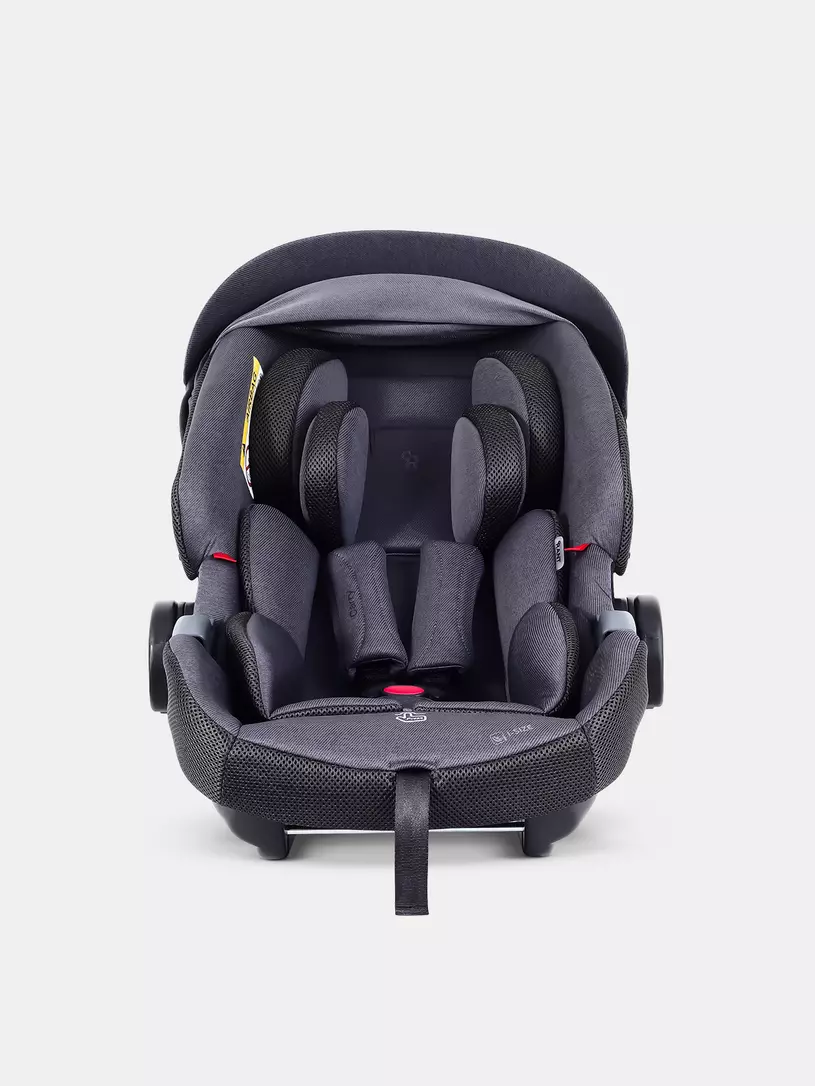 Автокресло Rant Carry Pro (40-87 см) Graphite