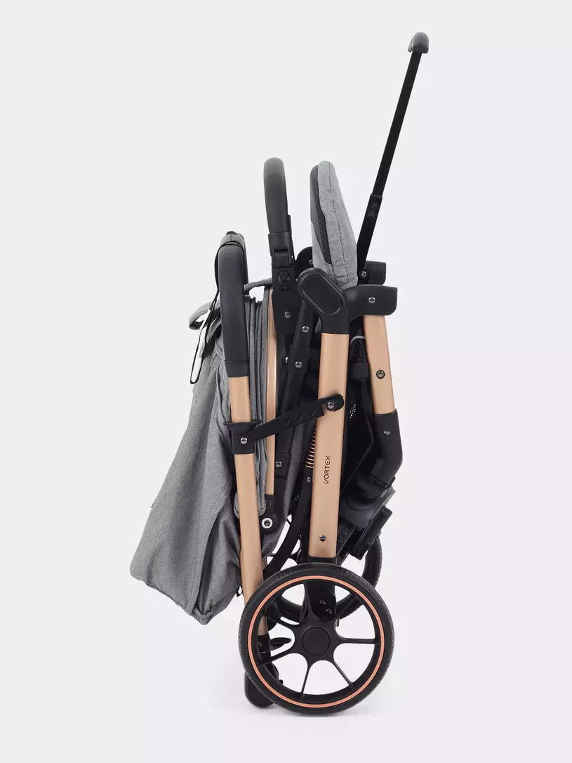 Коляска прогулочная Rant Basic Vortex Titan