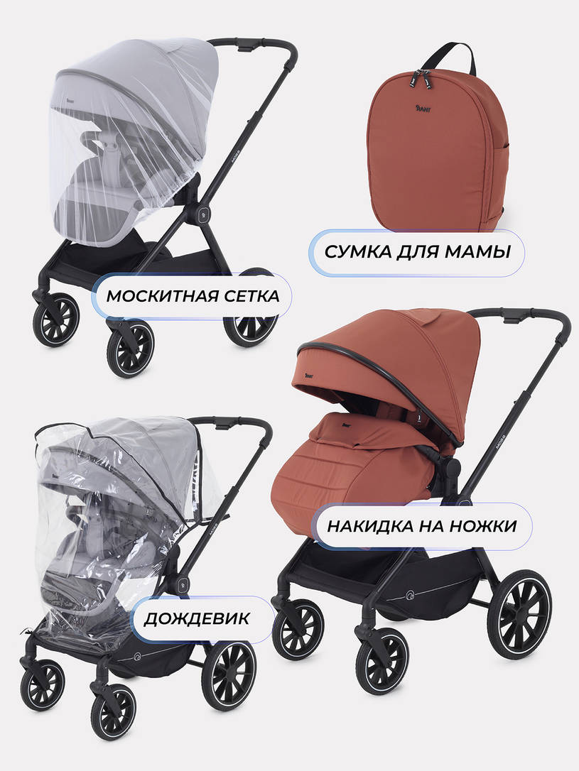 Коляска 2 в 1 Rant Moss Maroon brown