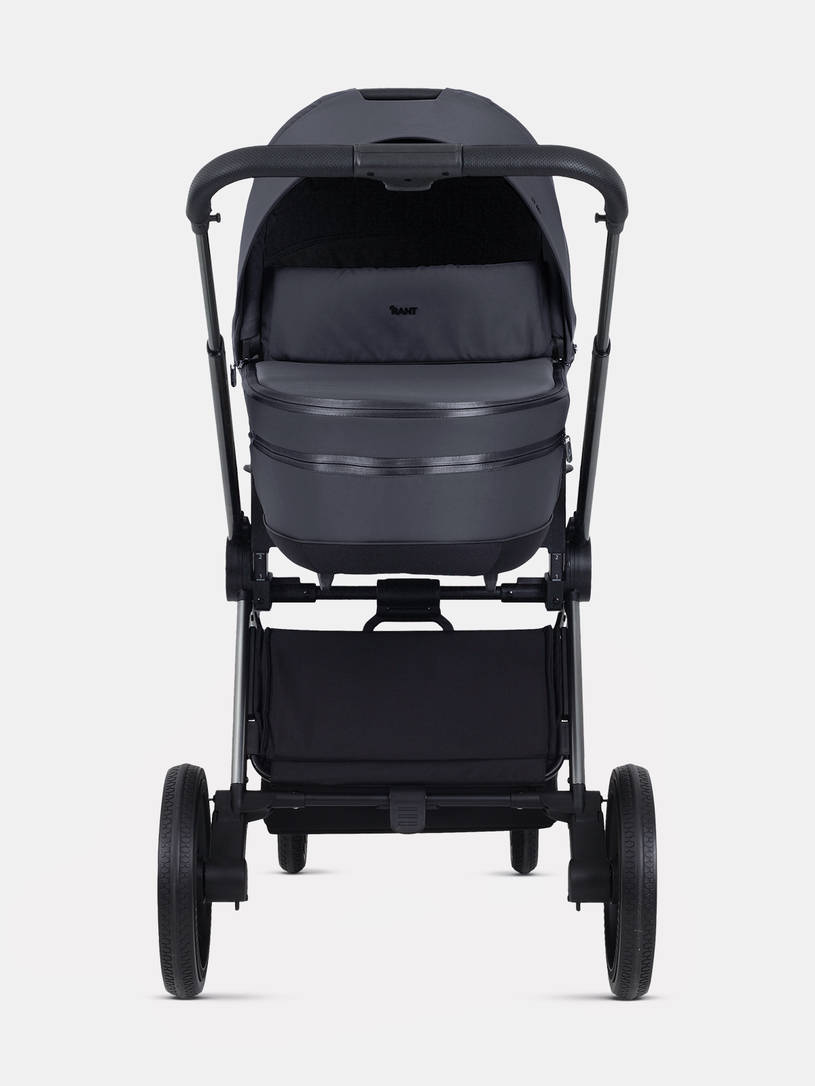 Коляска 2 в 1 Rant Falcon Therm Graphite