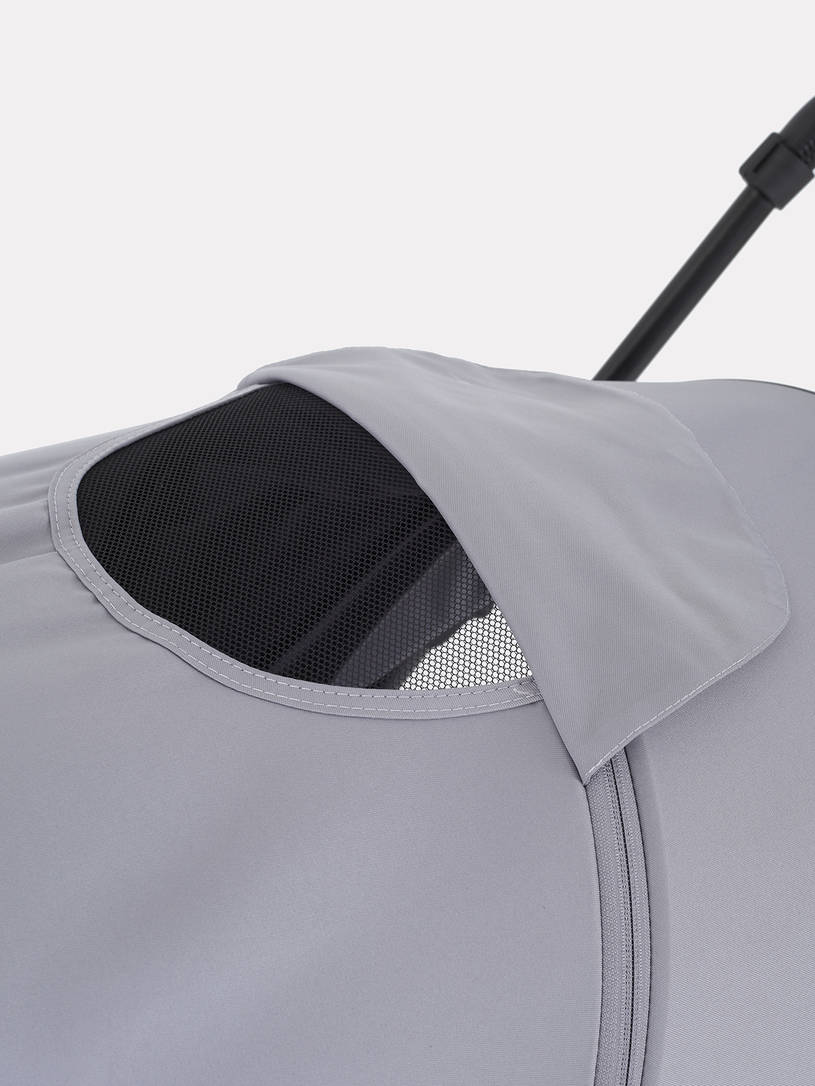 Коляска 2 в 1 Rant Moss Sage green