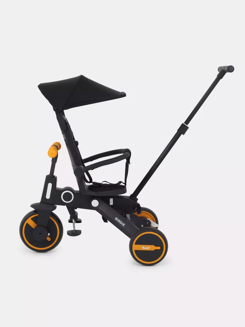 Велосипед 3-х колесный Rant Birdie Graphite