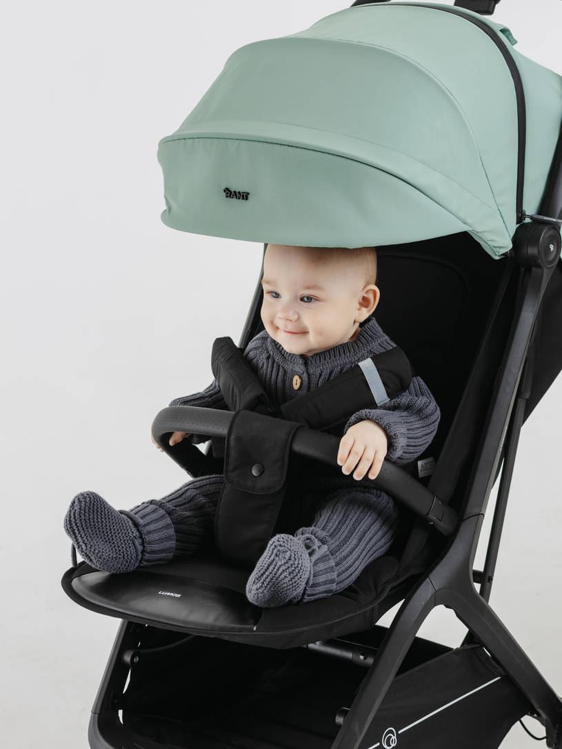 Коляска прогулочная Rant Lumos Sage green