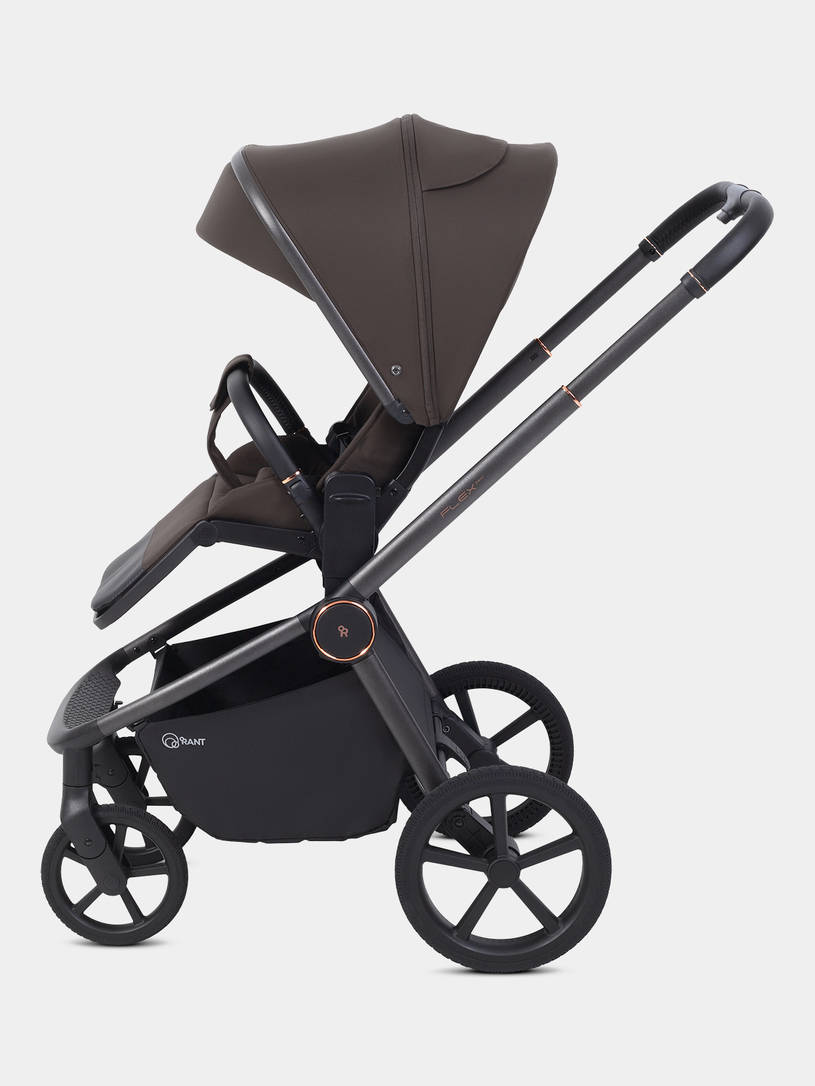Коляска прогулочная Rant Flex Color Shine brown