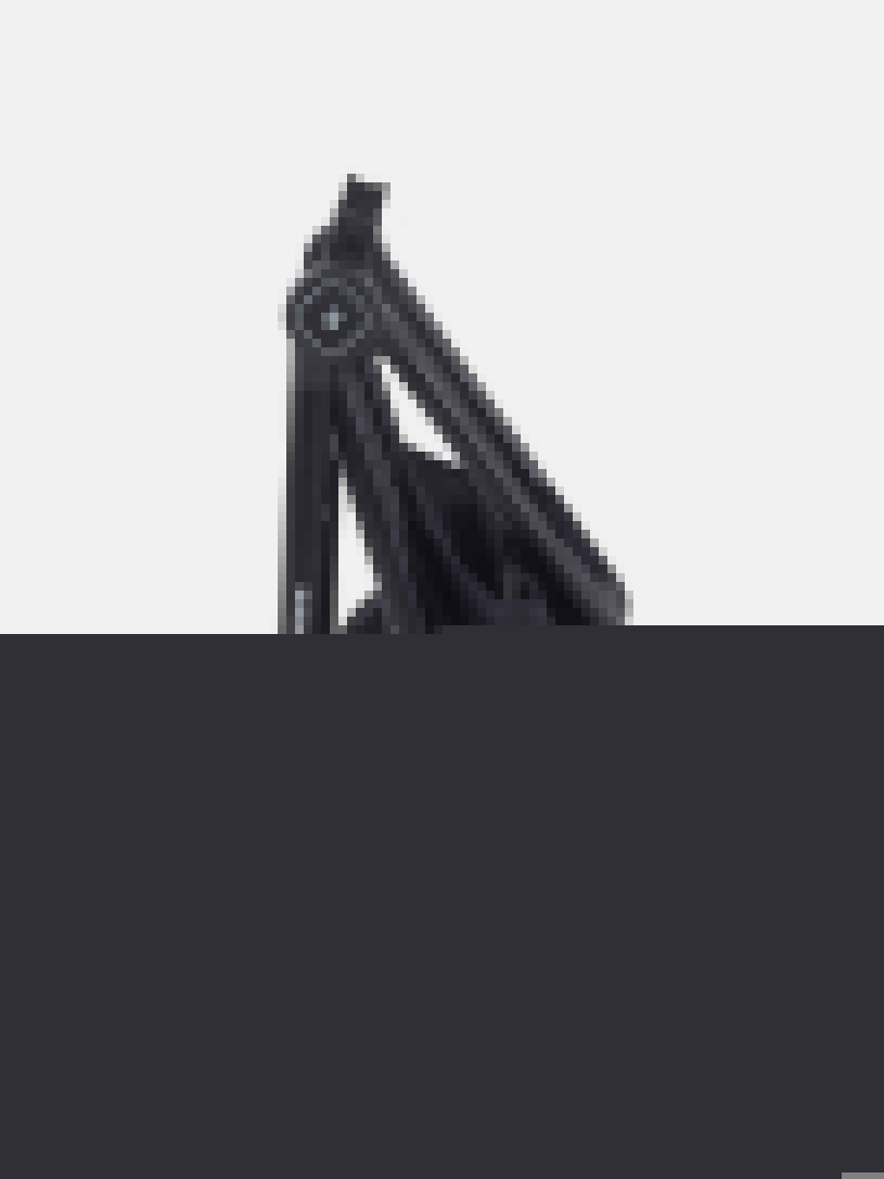 Коляска 2 в 1 Rant Moss Sage green