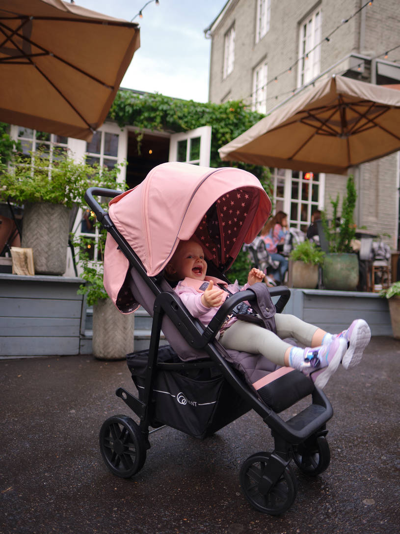 Коляска прогулочная Rant Vega Star Cloud Pink. Цвет: Розовый