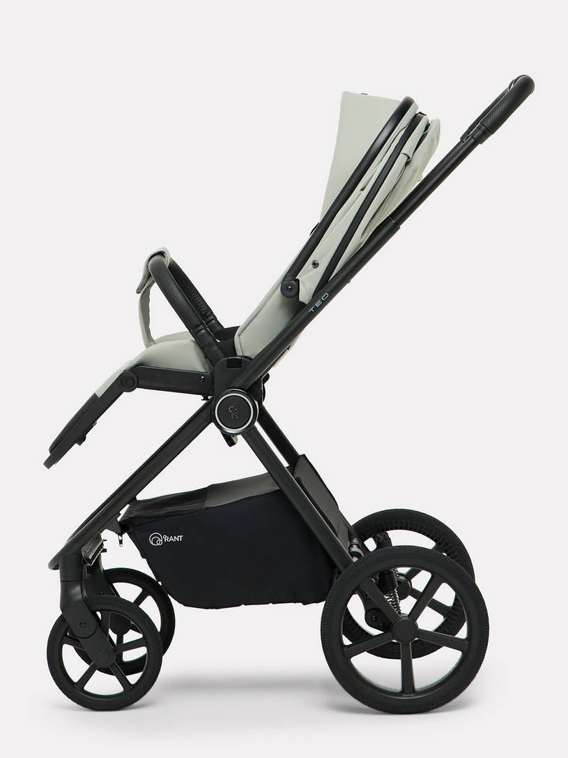 Коляска 2 в 1 Rant Teo Soft Sage
