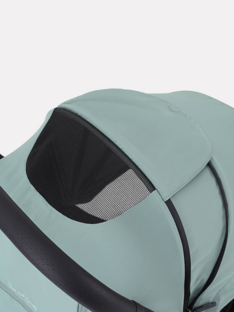 Коляска прогулочная Rant Lumos Sage green