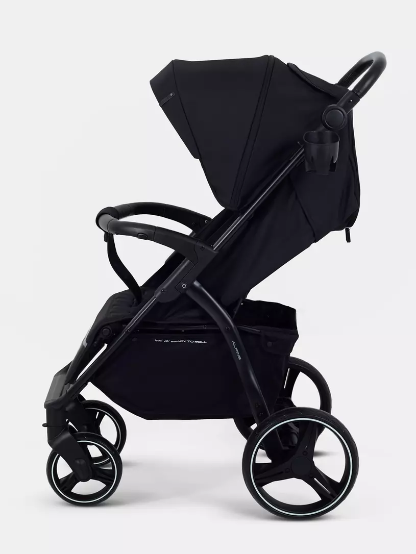 Коляска прогулочная Rant Basic Alpine 2026 Black