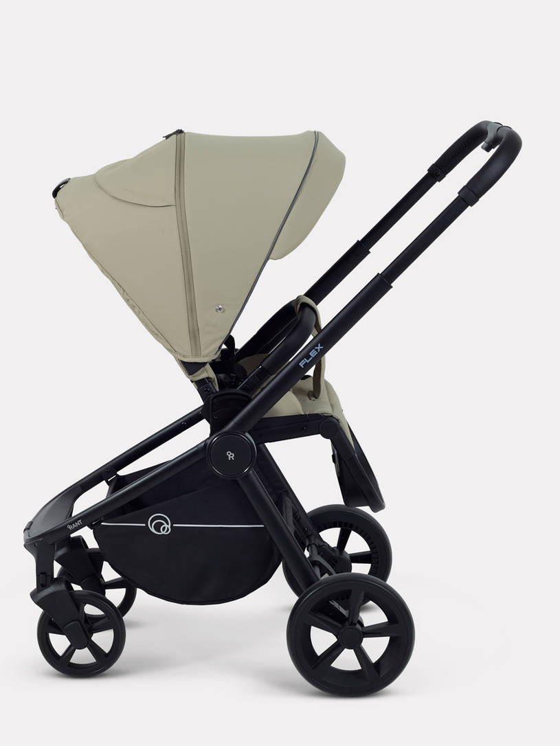 Коляска прогулочная Rant Flex 2025 RA078 Light green