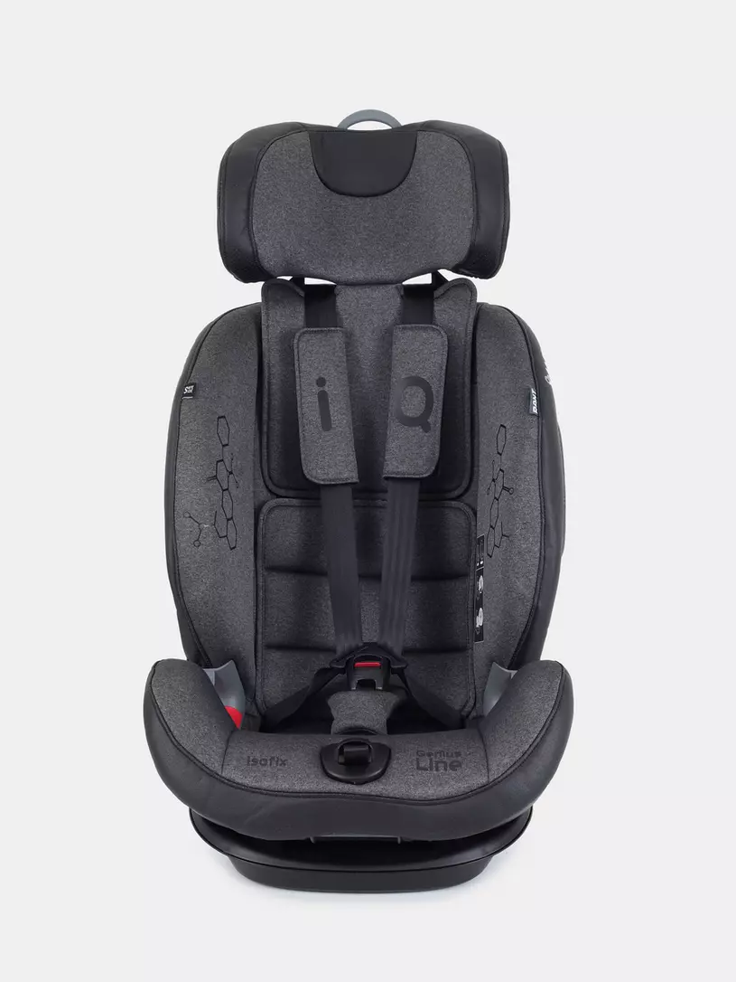Автокресло Rant IQ isofix 1/2/3 (9-36 кг) Dark grey