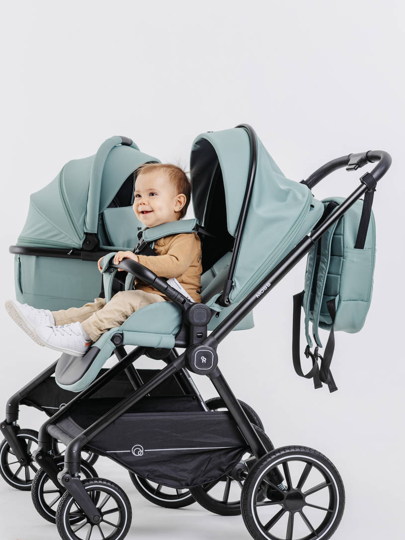 Коляска 2 в 1 Rant Moss Classic grey