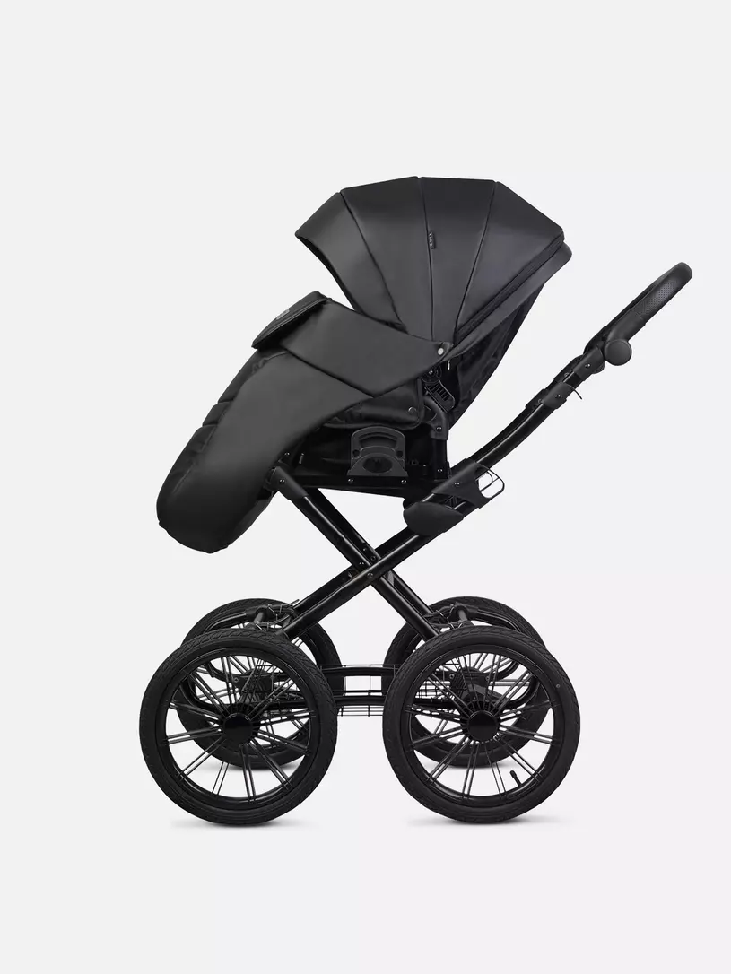 Коляска 2 в 1 Riko Basic Montana X Ecco Prestige 12 Black