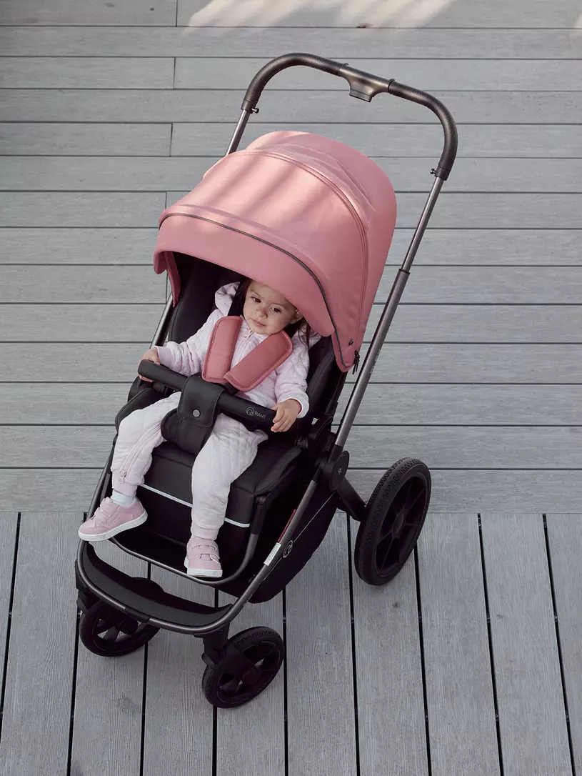 Коляска 2 в 1 RANT FLEX PRO 2023 RA074 PINK