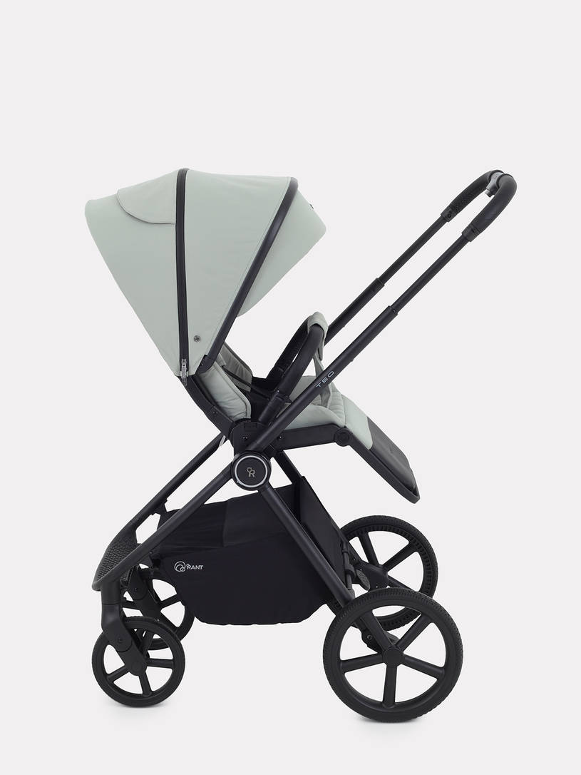 Коляска 2 в 1 Rant Teo Sage