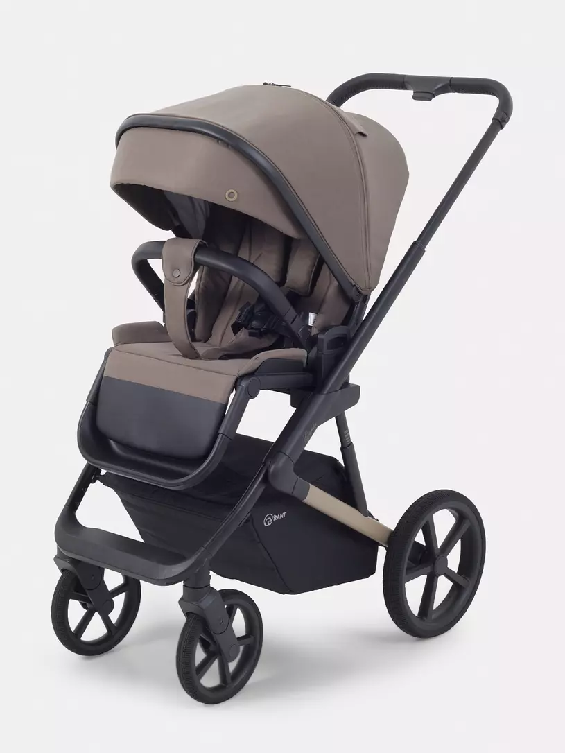 Коляска 2 в 1 Rant Garda Mocca