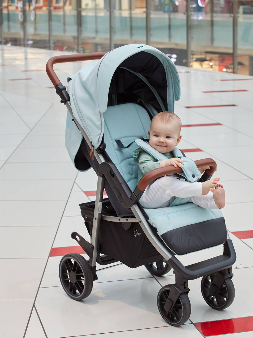 Коляска прогулочная Rant Vega 2023 Blue