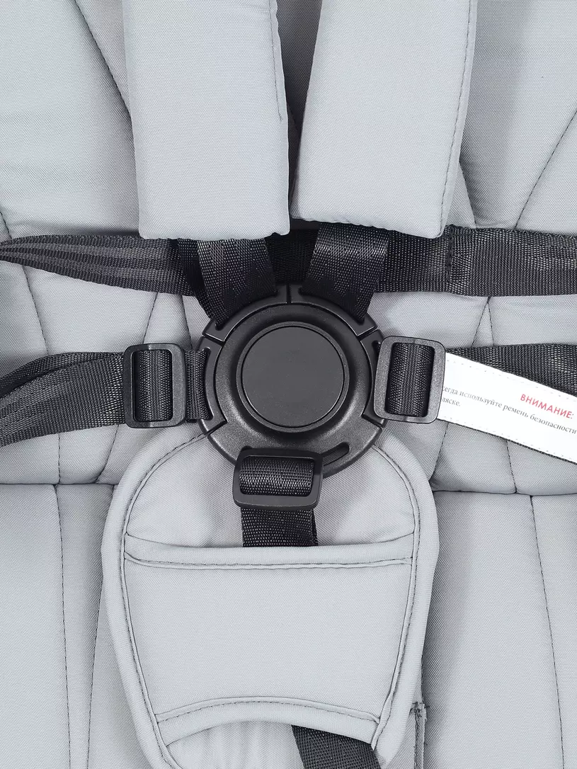 Коляска 2 в 1 Rant Basic Terra Grey