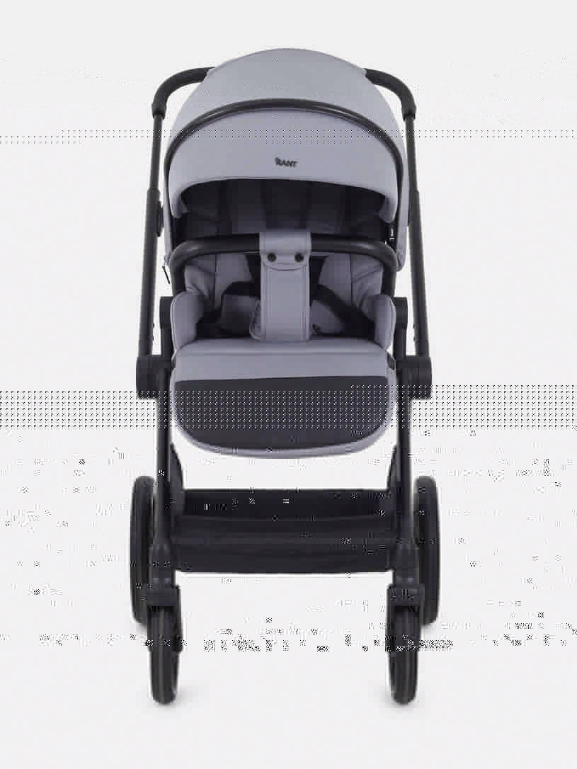 Коляска 2 в 1 Rant Moss Sage green