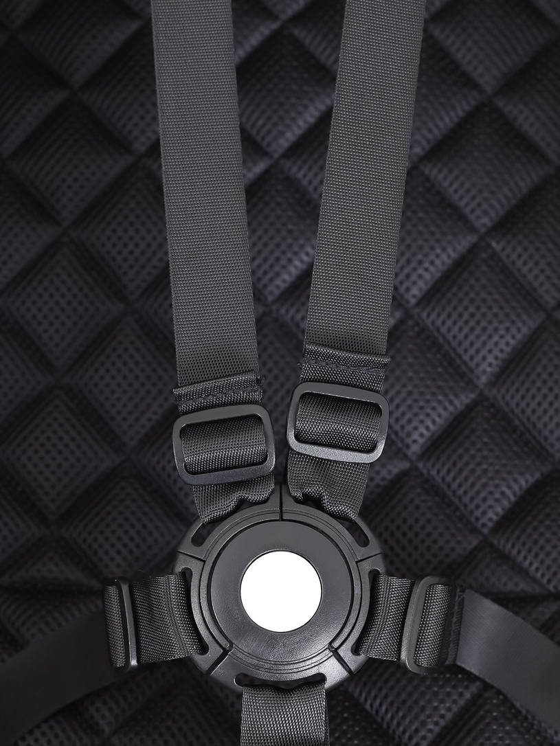 Коляска прогулочная Rant Sky 2025 Black