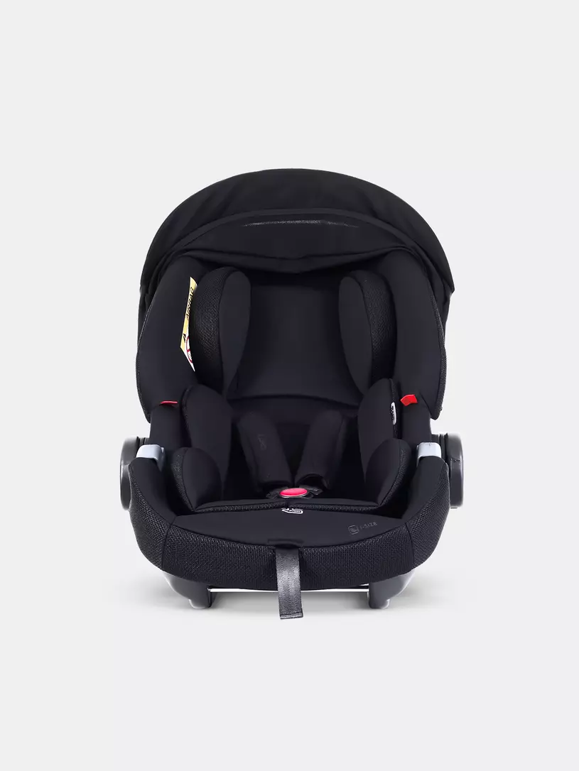 Автокресло Rant Carry Pro (40-87 см) Black