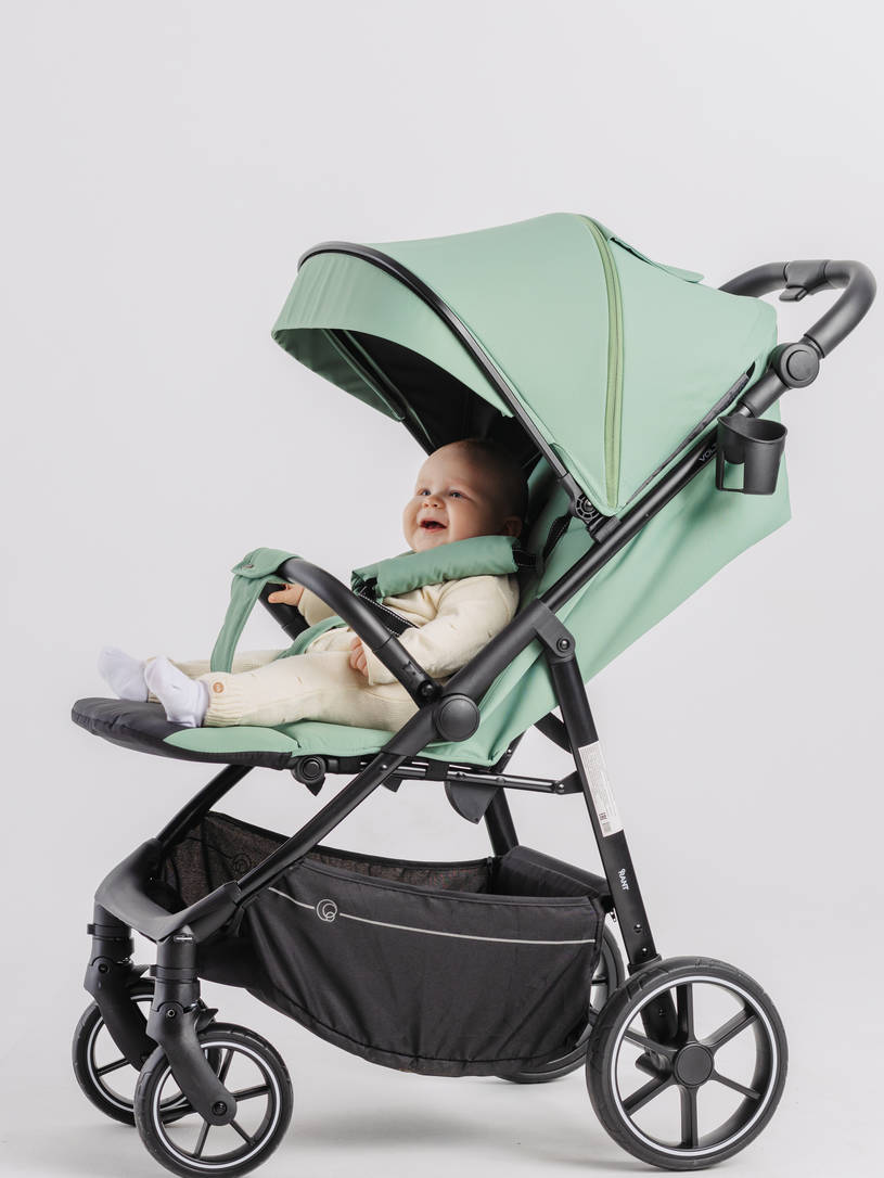 Коляска прогулочная Rant Volt Forest green
