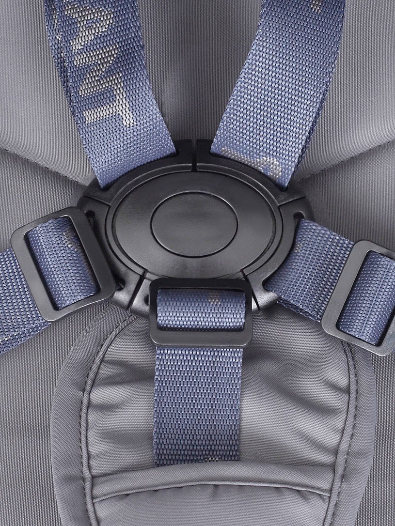 Коляска прогулочная Rant Flex 2025 RA078 Graphite