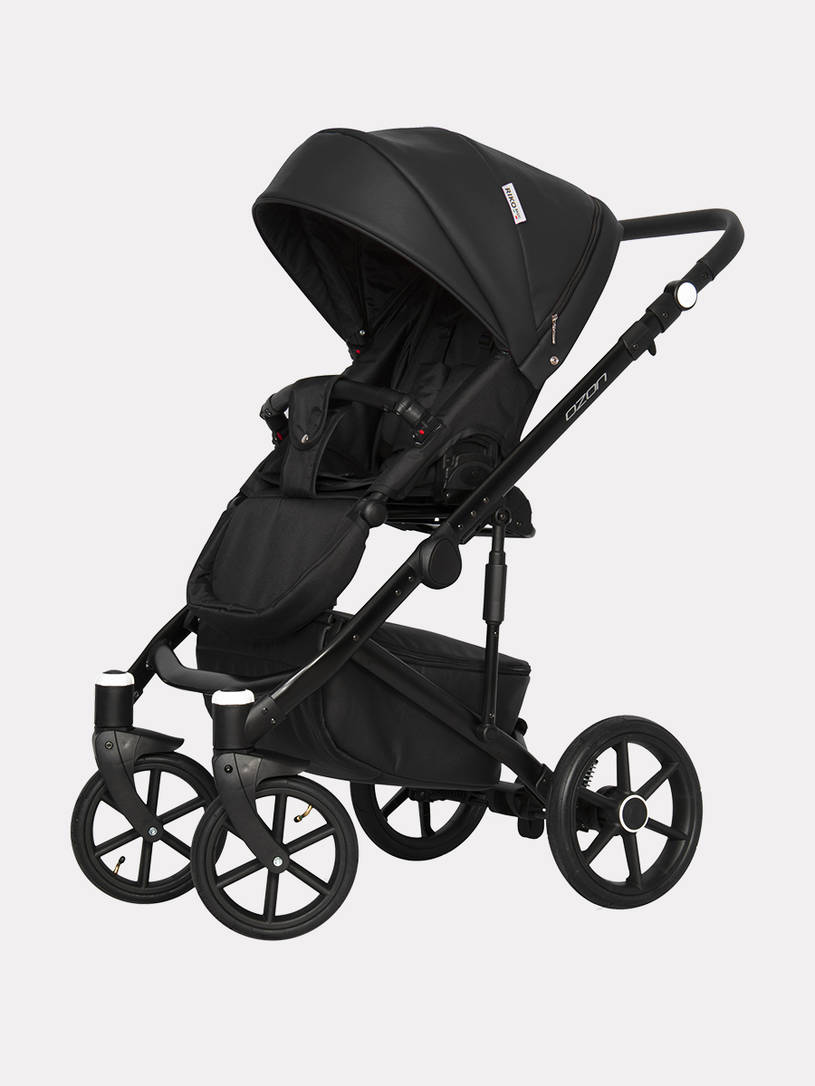 Коляска 2 в 1 Riko Basic Ozon 06 черный
