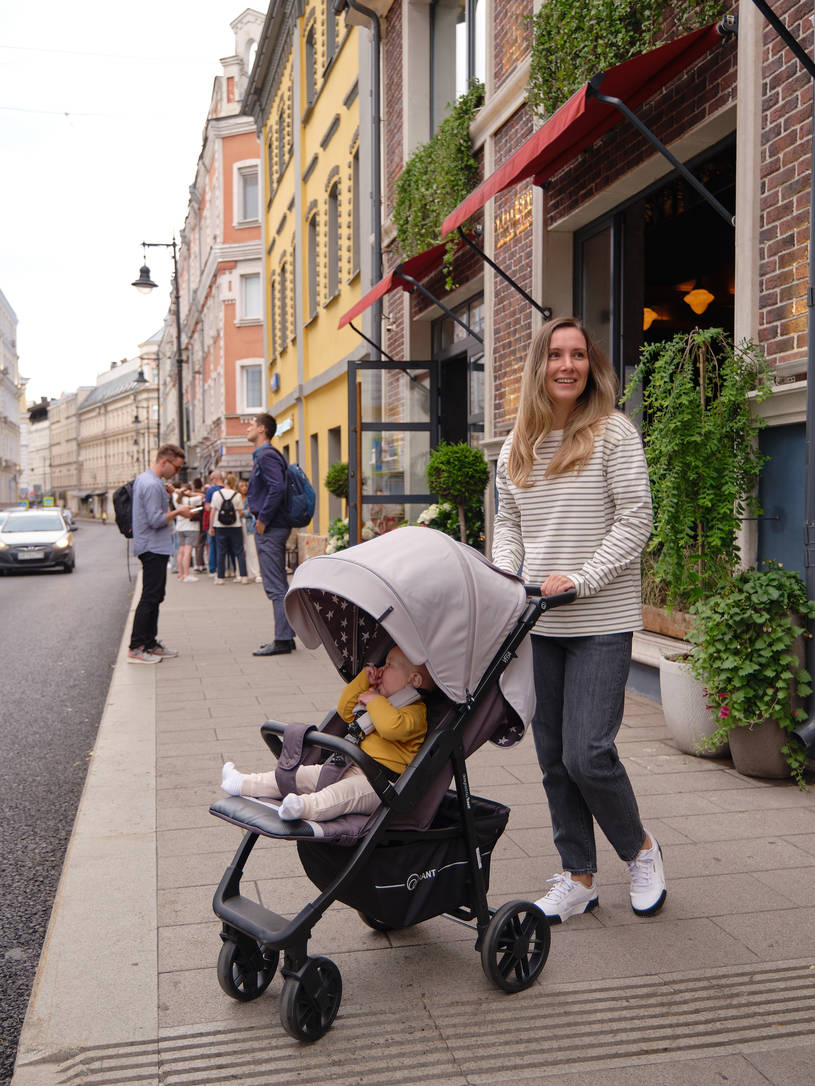 Коляска прогулочная Rant Vega Star Soft Grey. Цвет: Серый